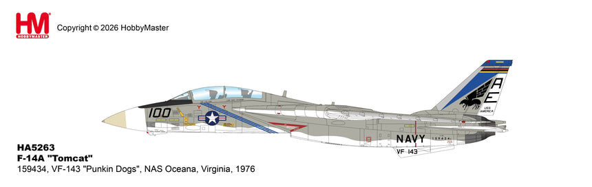 Hobby Master F-14A "Tomcat" 159434, VF-143 "Punkin Dogs", NAS Oceana, Virginia, 1976 1/72 Aircraft Scale Model