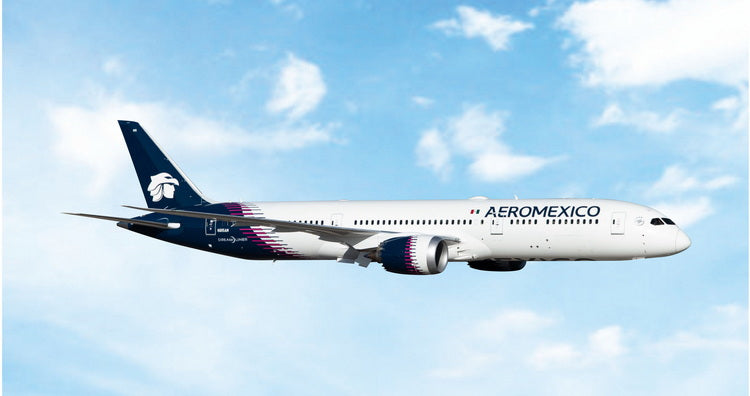 Phoenix Aeromexico Boeing B787-9 N815AM 1/400 Aircraft Scale Model ...