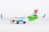 NG Models China Southern Airlines Zhuhai City of Youth Boeing 737-800/w B-1700 1/200 Aircraft Scale Model