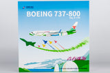 NG Models China Southern Airlines Zhuhai City of Youth Boeing 737-800/w B-1700 1/200 Aircraft Scale Model