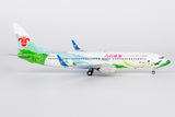 NG Models China Southern Airlines Zhuhai City of Youth Boeing 737-800/w B-1700 1/200 Aircraft Scale Model