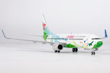 NG Models China Southern Airlines Zhuhai City of Youth Boeing 737-800/w B-1700 1/200 Aircraft Scale Model