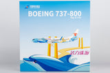 NG Models China Southern Airlines Energetic Zhuhai Boeing 737-800/w B-1781 1/200 Aircraft Scale Model