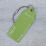 AviationTag Icelandair Boeing 757 - TF-FIU Dark Green