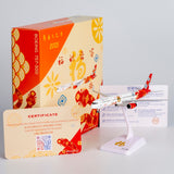 NG Models Fantasy Model "Yi-Si Year (Year of the snake)" Boeing 757-300 Lite Edition 1/400 Scale