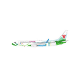 NG Models China Southern Airlines Zhuhai City of Youth Boeing 737-800/w B-1700 1/200 Aircraft Scale Model