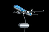 SQ Wings Japan Transocean Air Jinbei Jet Boeing 737-800 JA05RK 1/200 Scale Model